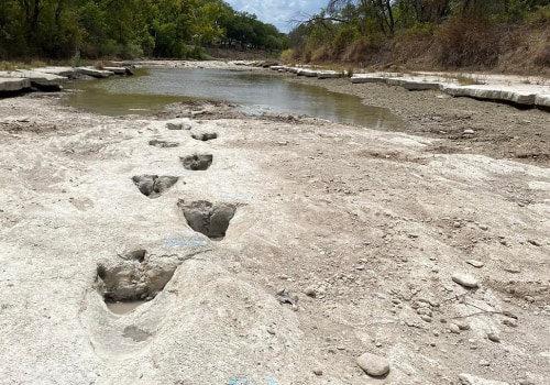 Exploring the Past: Uncovering Fascinating Artifacts in Harris County